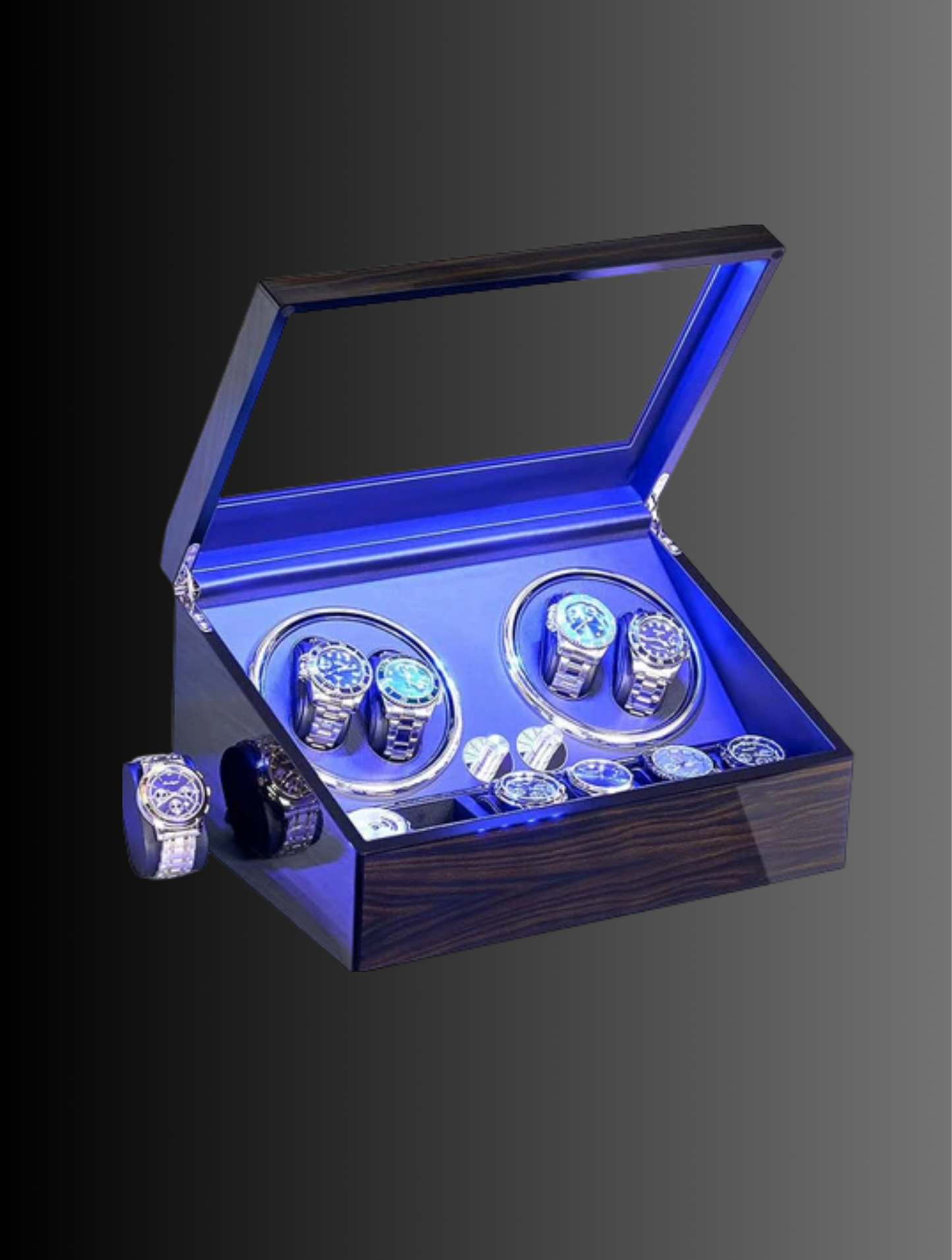 Watch Winder for Automatic Watches