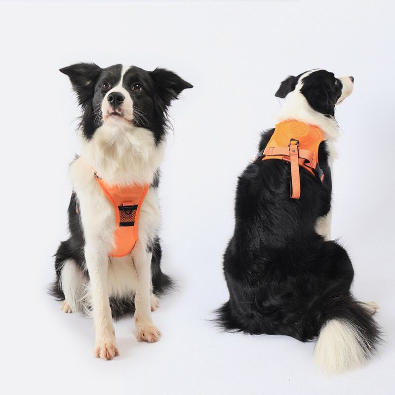 2-in-1 Dog Harness with Auto-Retractable Leash — Hands-Free, Anti-Pull, All Breeds