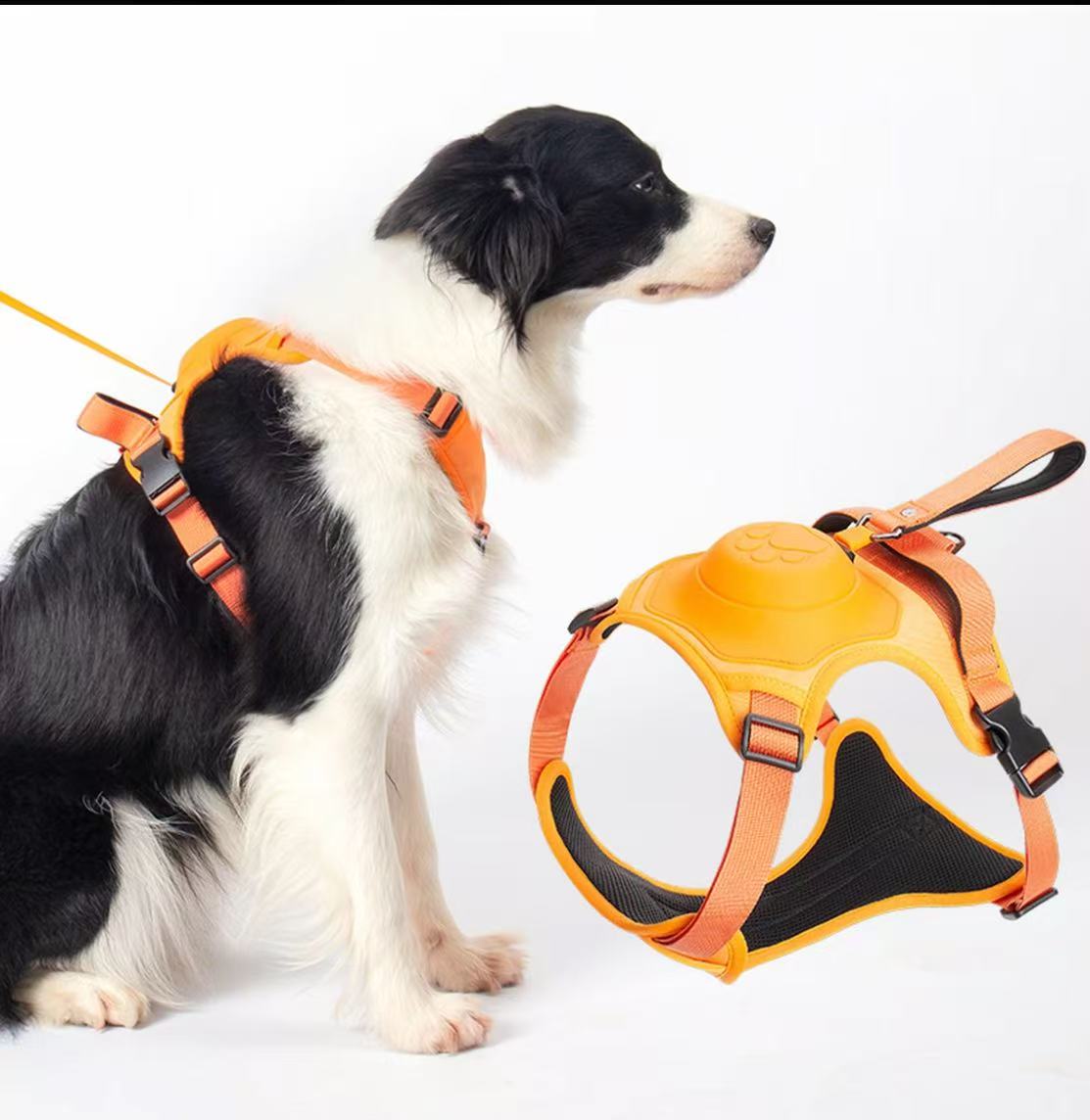 2-in-1 Dog Harness with Auto-Retractable Leash — Hands-Free, Anti-Pull, All Breeds