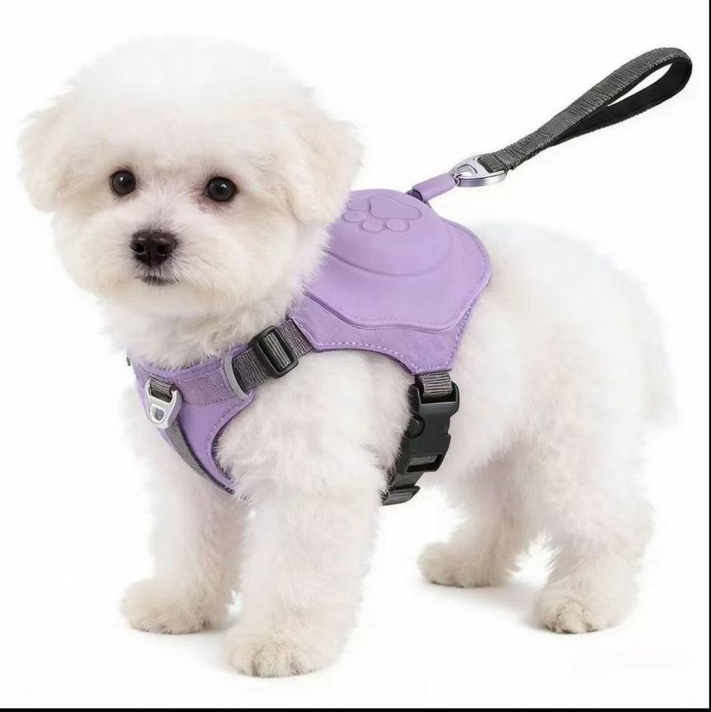 2-in-1 Dog Harness with Auto-Retractable Leash — Hands-Free, Anti-Pull, All Breeds
