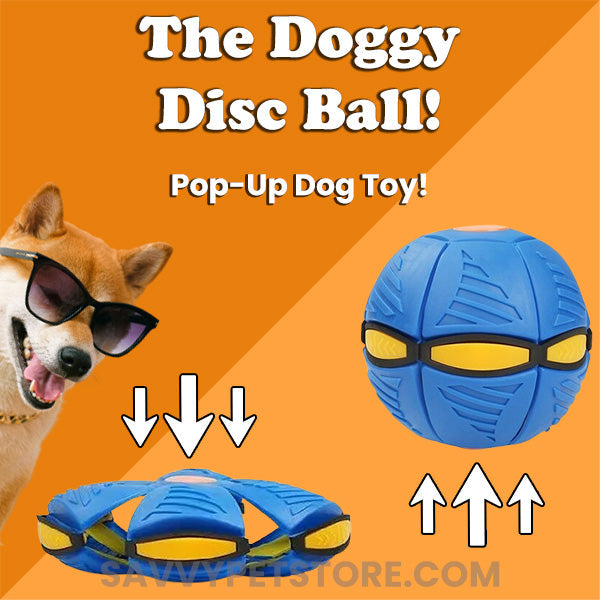 The Doggy Disc Ball