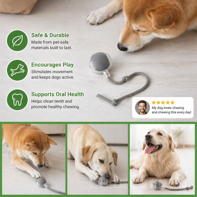 Interactive Play Ball with Tail for Dogs
