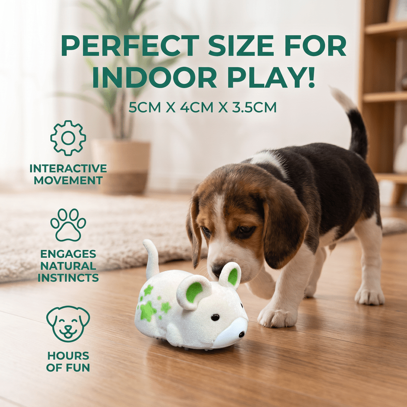 Active Hamster Indoor Dog Toy