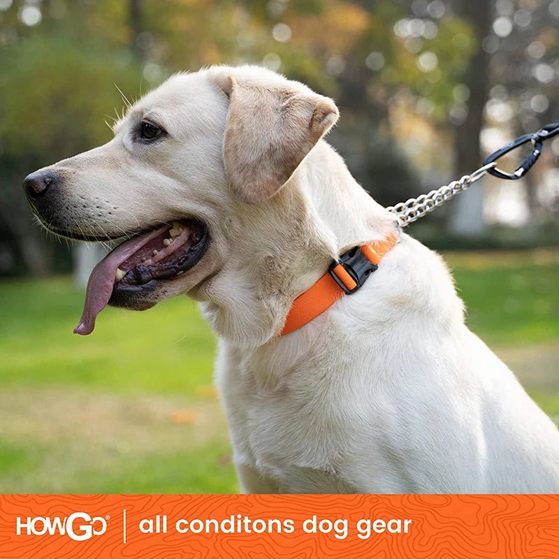 Adjustable Martingale Dog Training Collar – Waterproof No-Pull Chain Collar for Small, Medium & Large Dogs