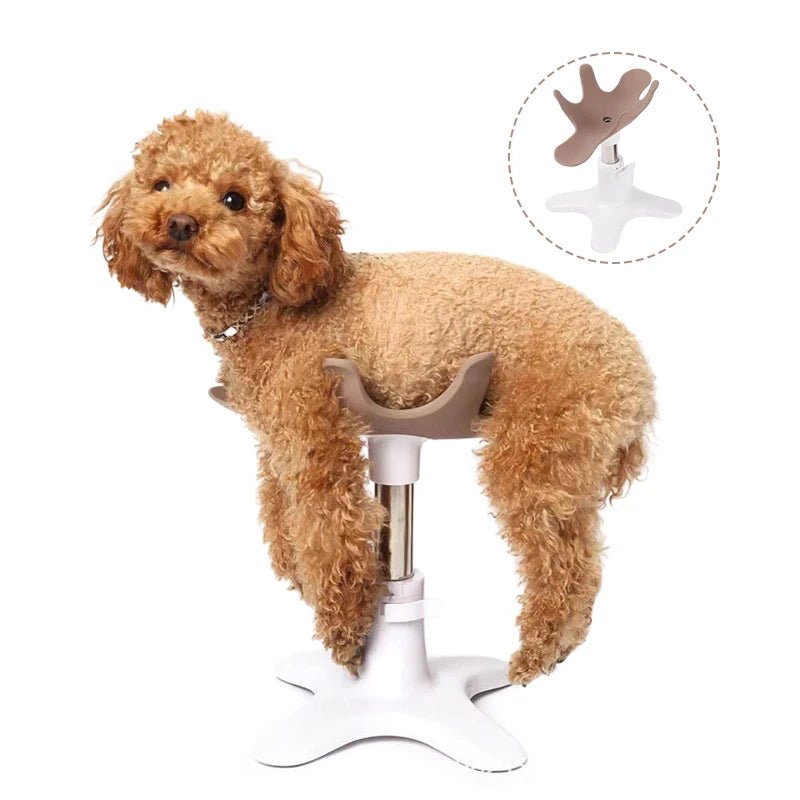 Adjustable Pet Grooming Restraint Loop & Noose – Safety Arm Holder for Dog Grooming Tables & Bathtubs