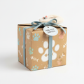 Cat Surprise Box S