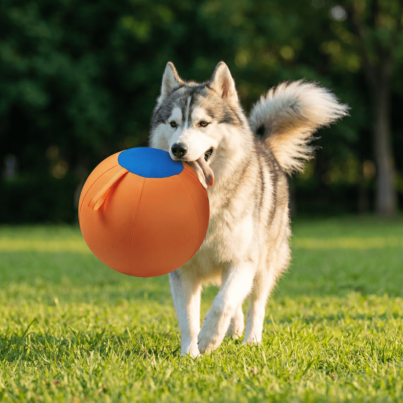 Durable training ball with cover for dogs