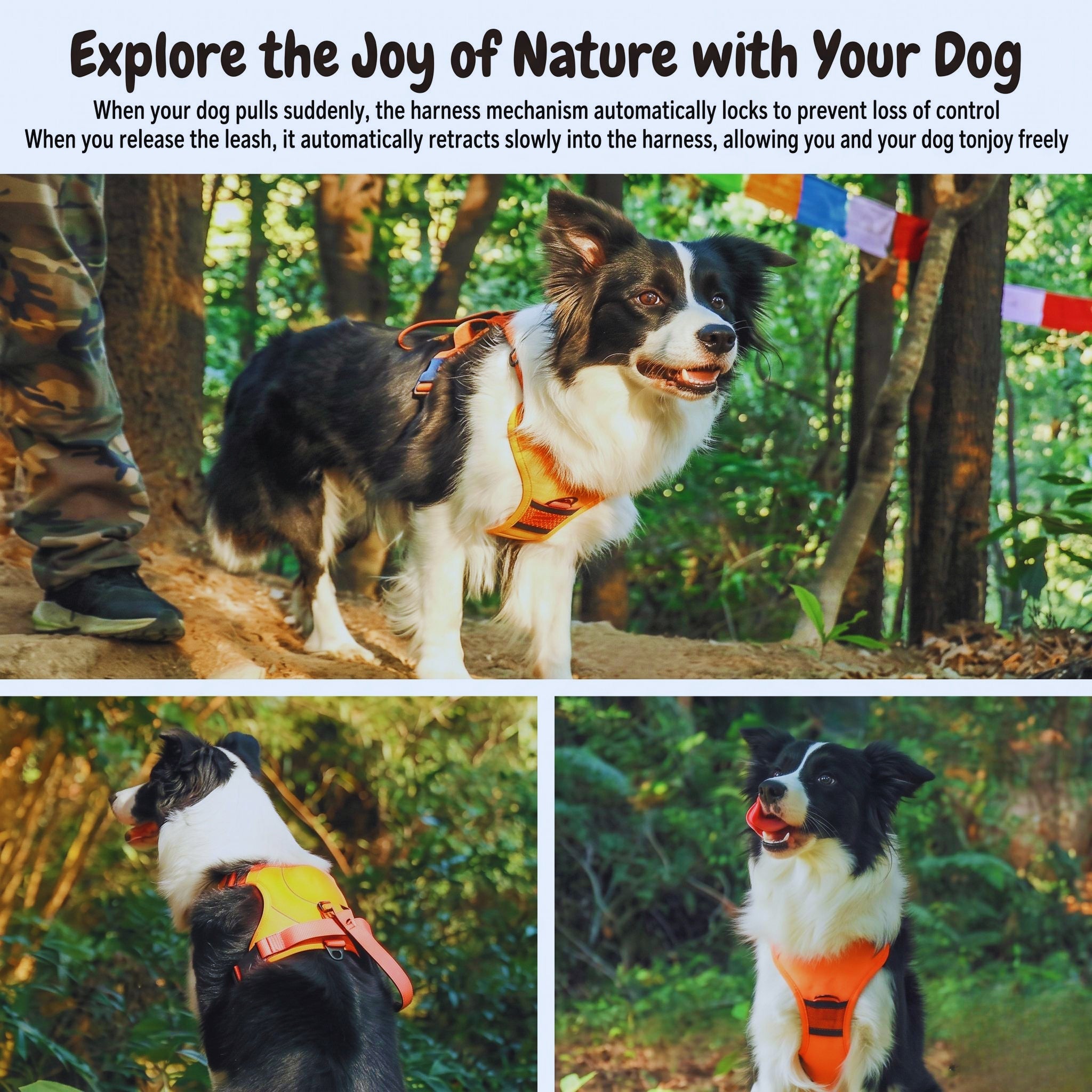 2-in-1 Dog Harness with Auto-Retractable Leash — Hands-Free, Anti-Pull, All Breeds