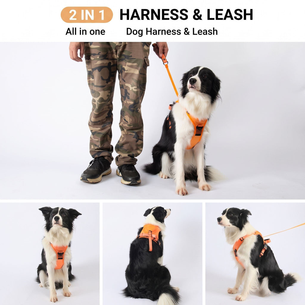 2-in-1 Dog Harness with Auto-Retractable Leash — Hands-Free, Anti-Pull, All Breeds