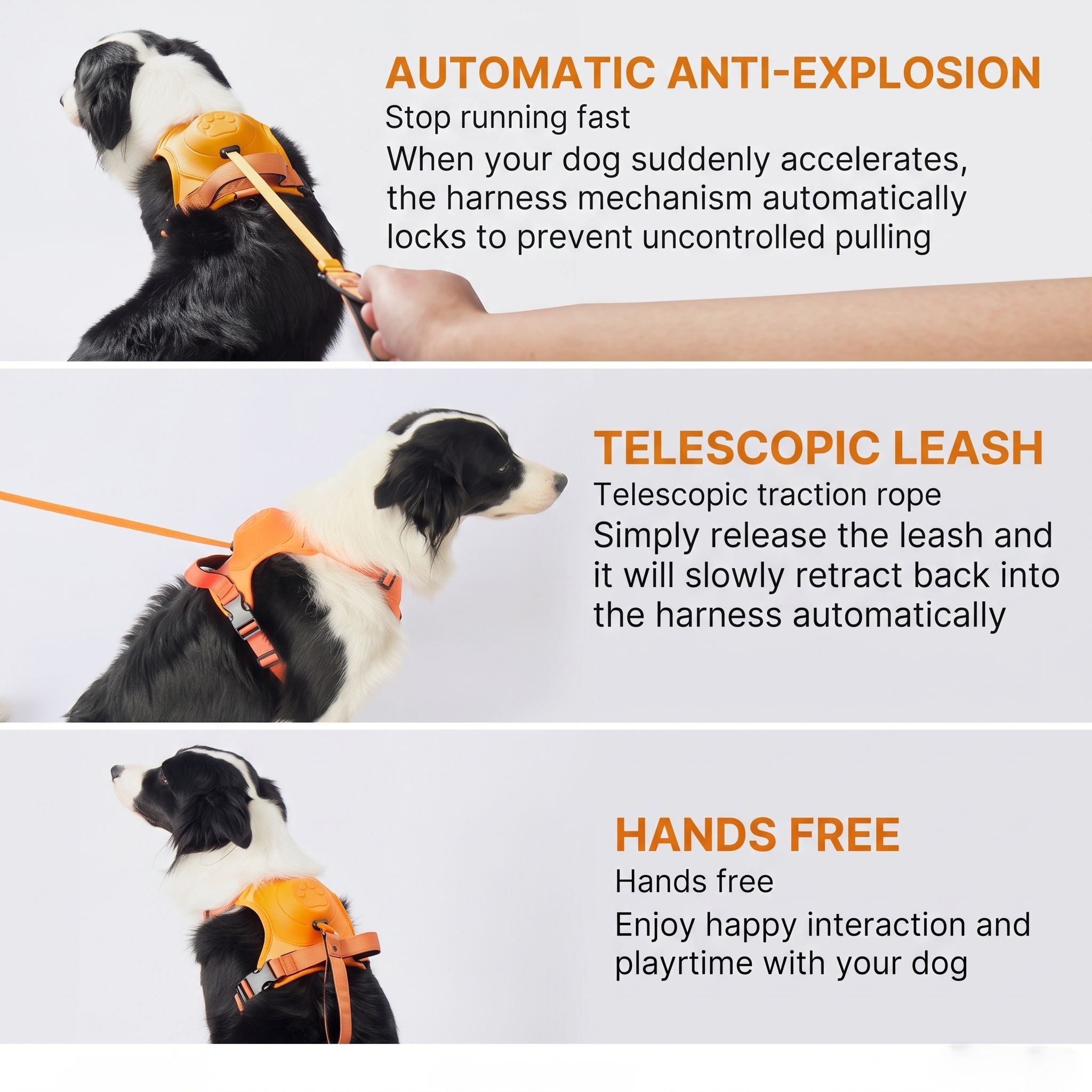 2-in-1 Dog Harness with Auto-Retractable Leash — Hands-Free, Anti-Pull, All Breeds