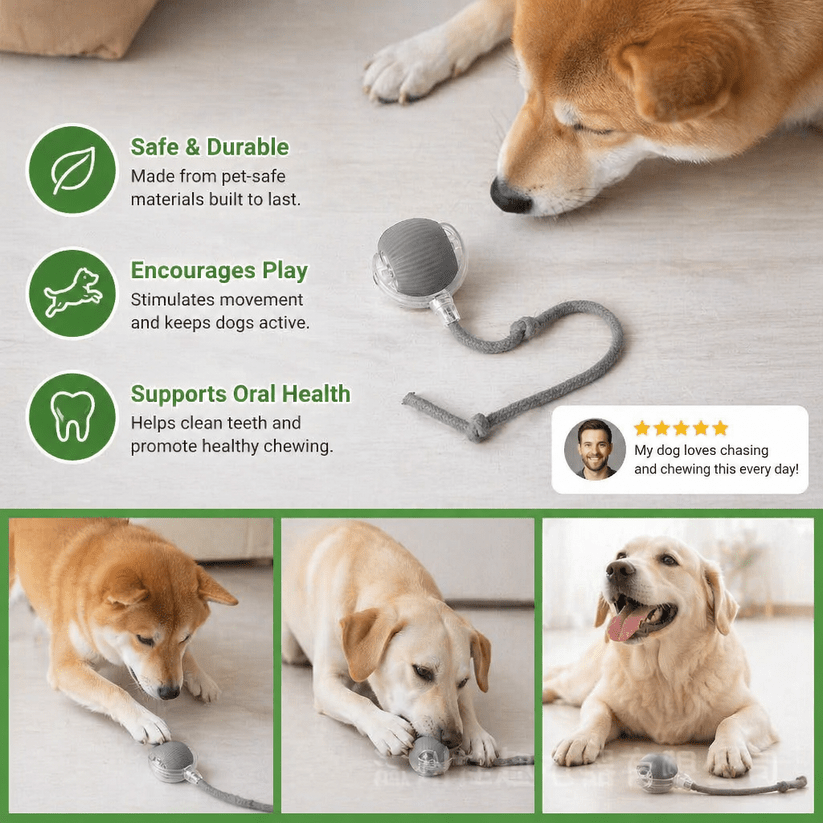 interactive toy ball with a tail. Suitable for cats and dogs