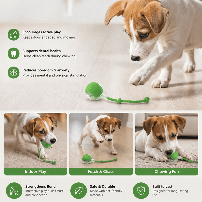 interactive toy ball with a tail. Suitable for cats and dogs