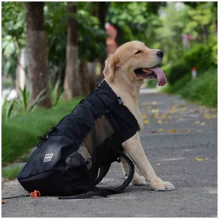 Outdoor Hiking Pet Carrier Backpack – Breathable Mesh Travel Bag for Dogs & Cats