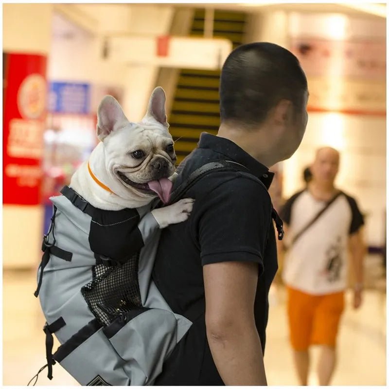 Outdoor Hiking Pet Carrier Backpack – Breathable Mesh Travel Bag for Dogs & Cats