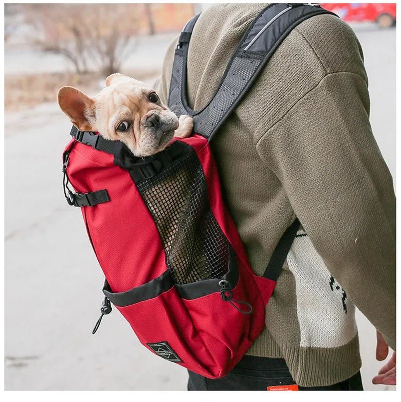 Outdoor Hiking Pet Carrier Backpack – Breathable Mesh Travel Bag for Dogs & Cats