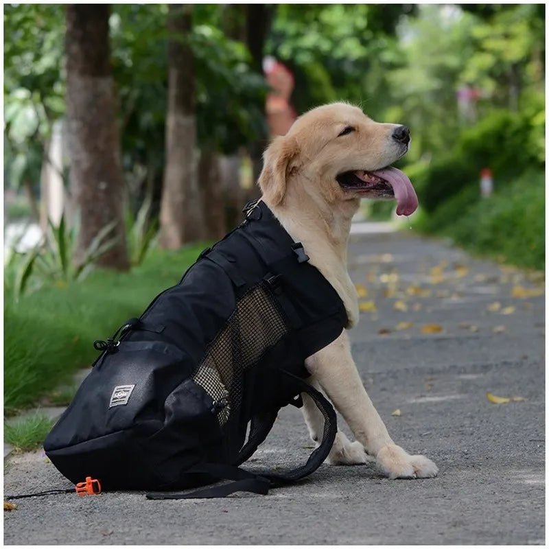 Outdoor Hiking Pet Carrier Backpack – Breathable Mesh Travel Bag for Dogs & Cats